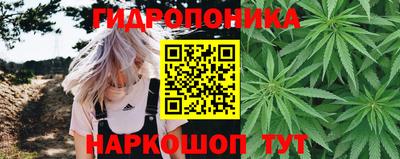 экстази Кингисепп